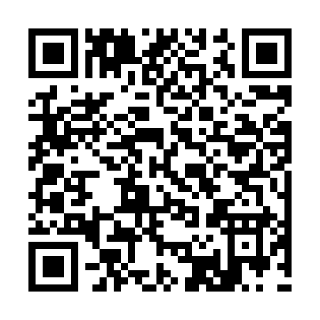 QR code for C238Y