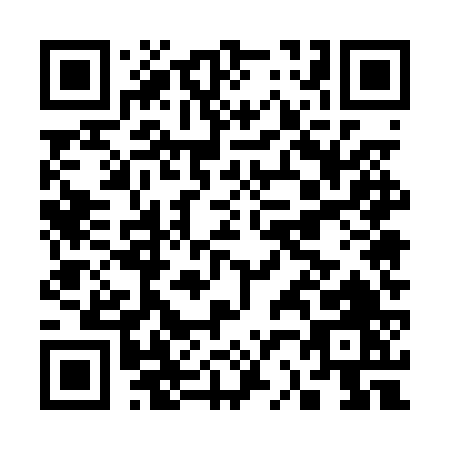 QR code for C250V