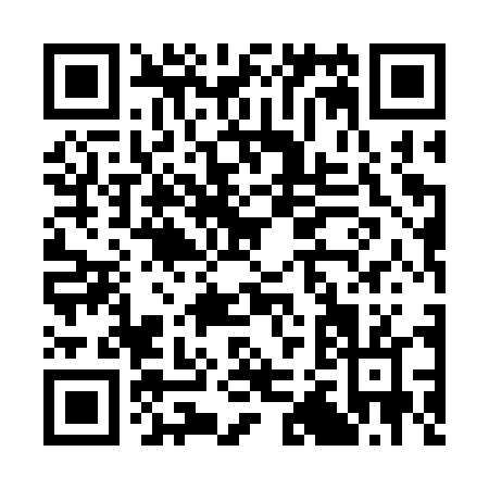 QR code for C253T