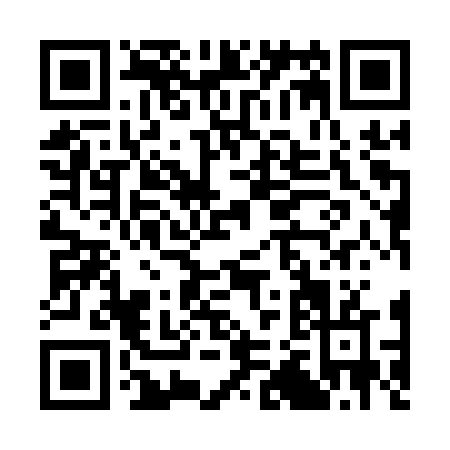 QR code for C291V