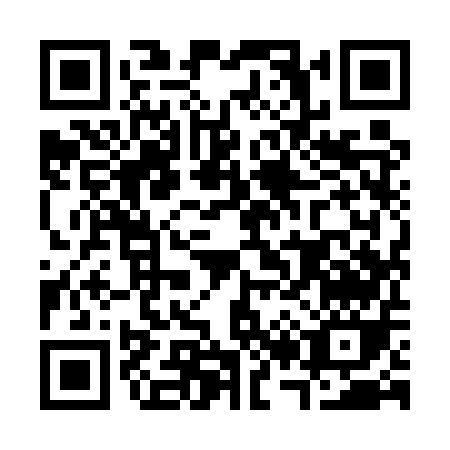 QR code for C295U