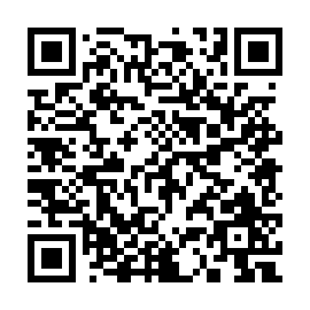 QR code for C300Z