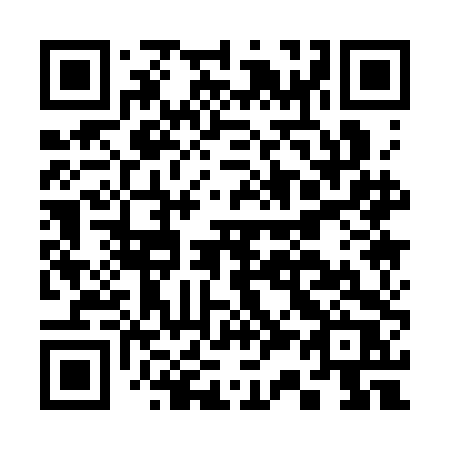 QR code for C313DR