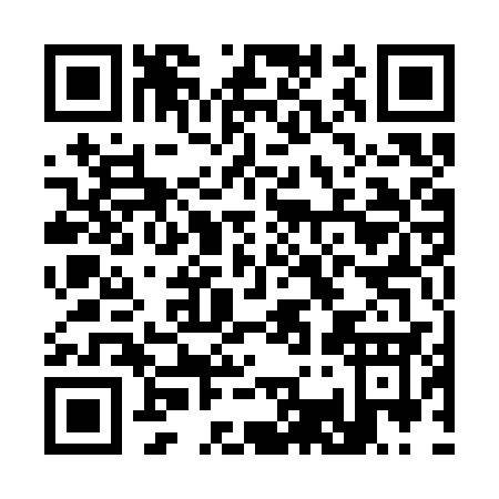 QR code for C313S