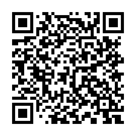 QR code for C318XI