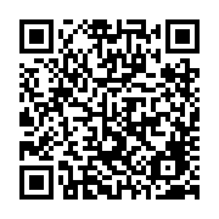 QR code for C333NF
