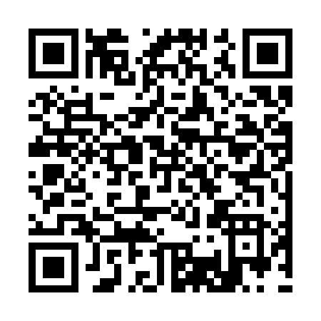 QR code for C333V