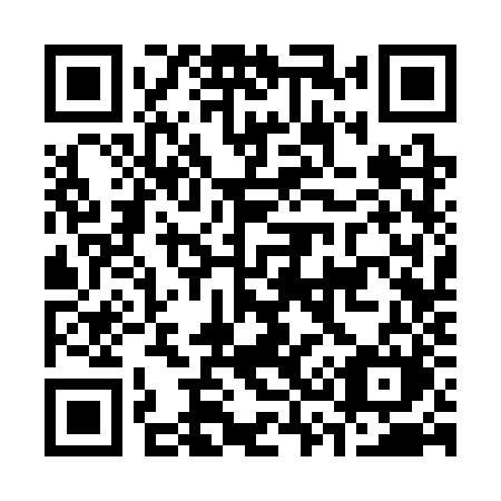 QR code for C333ZM