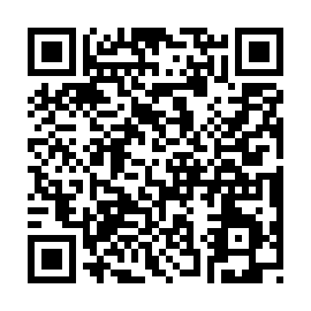 QR code for C335R