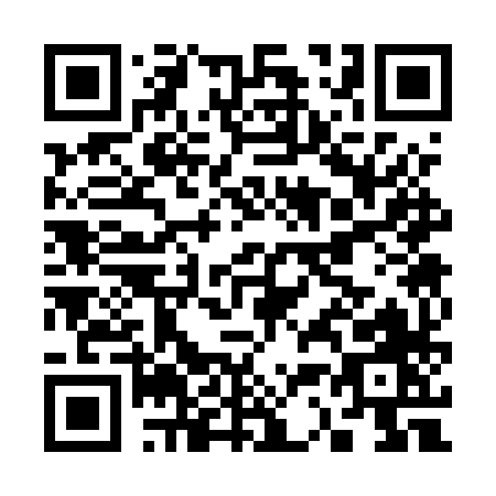 QR code for C335X