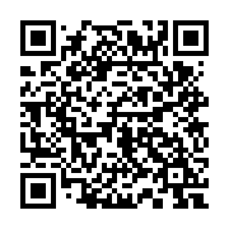 QR code for C336ZM