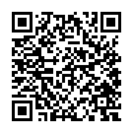 QR code for C369T