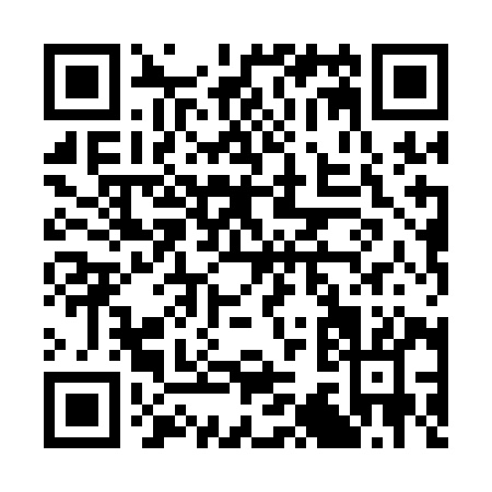 QR code for C381I