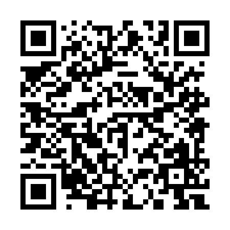 QR code for C384I