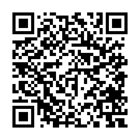 QR code for C384L