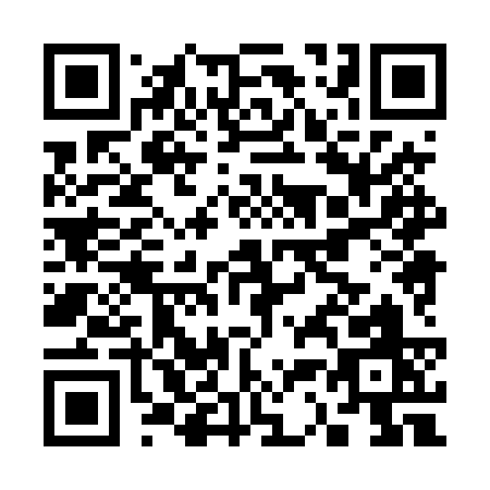 QR code for C384S