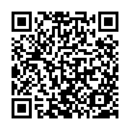 QR code for C391MO