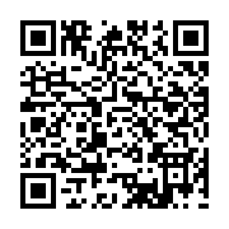QR code for C393C