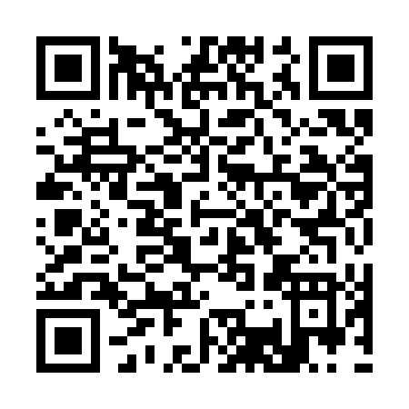 QR code for C393D