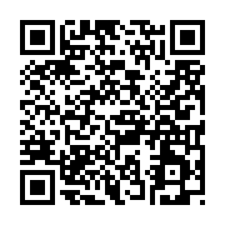 QR code for C394N