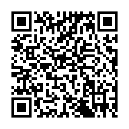QR code for C401Z