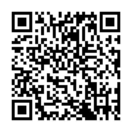 QR code for C413G