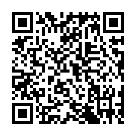 QR code for C419S