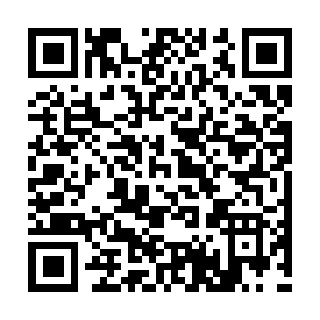 QR code for C463R
