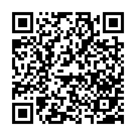 QR code for C463Y