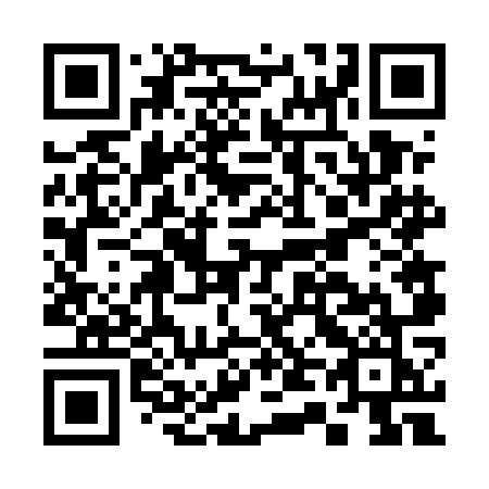 QR code for plate C46 5OK