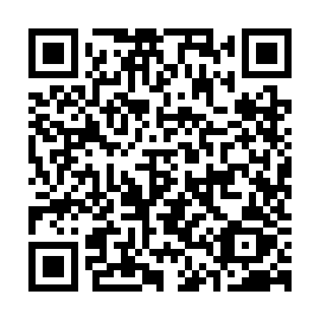 QR code for C493JZ