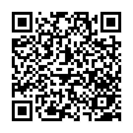 QR code for C493Z