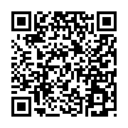 QR code for C496X