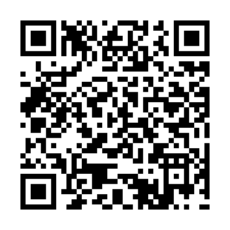 QR code for C509P