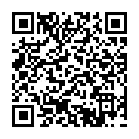 QR code for C511N
