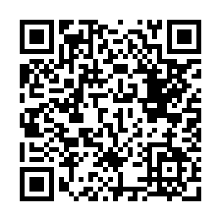 QR code for C518G