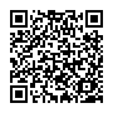 QR code for C53 3GO