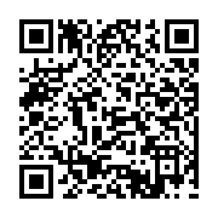 QR code for C533X