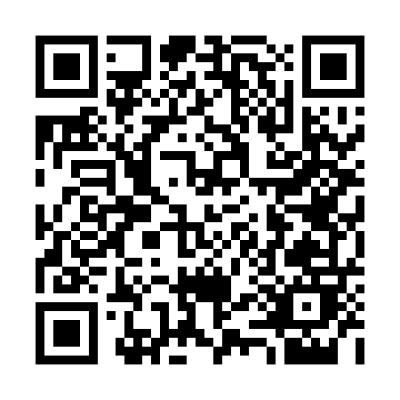 QR code for C541F