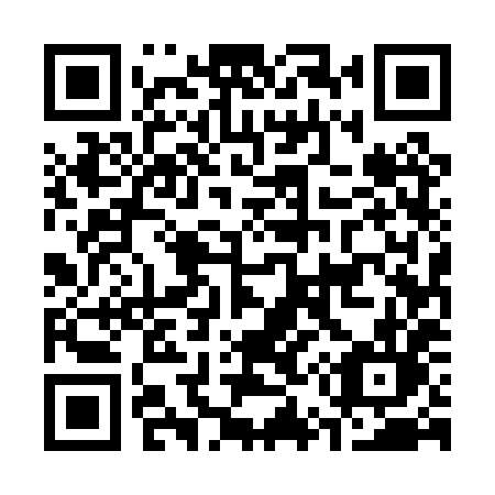 QR code for C55 0XL