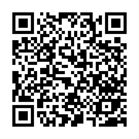 QR code for C595O