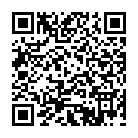QR code for C595S
