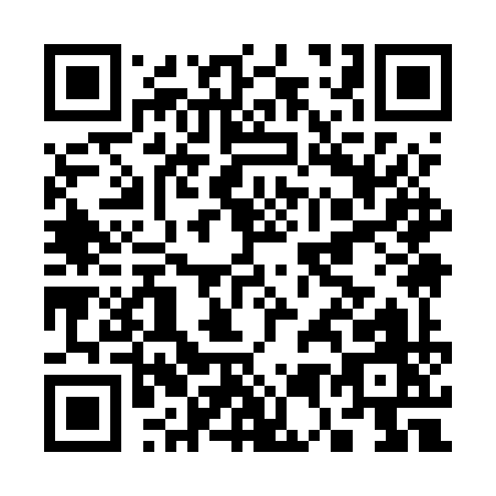 QR code for C595Y