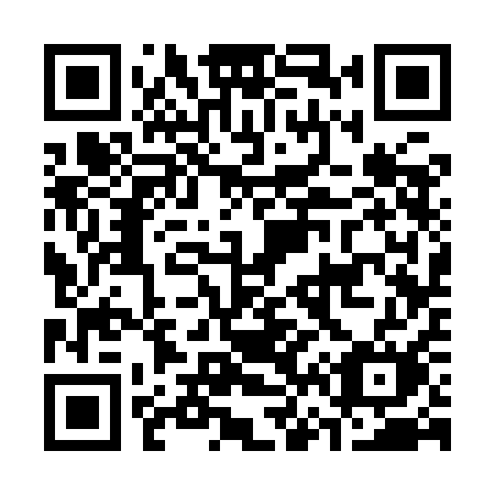 QR code for plate C63 9AM