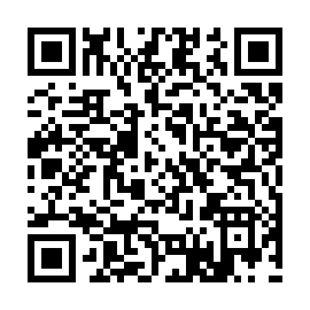 QR code for C653X