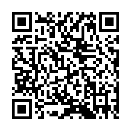 QR code for C805Z