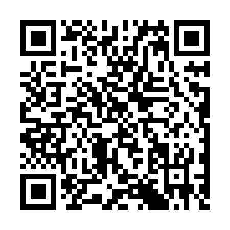 QR code for C828S