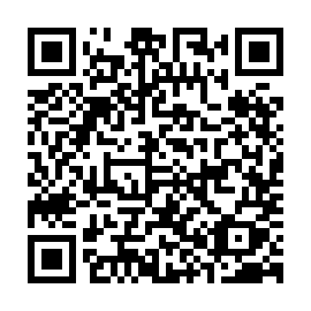 QR code for C838MY