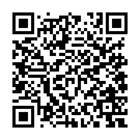 QR code for C868G