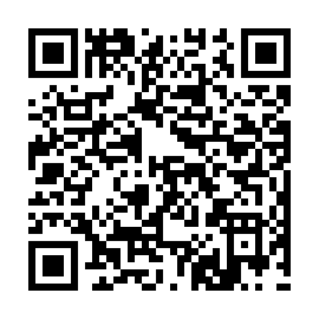 QR code for C877T